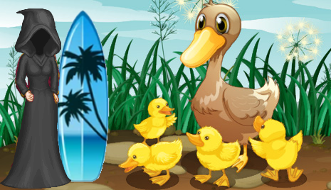 &p=duckblaster